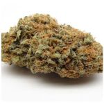 Шишки AK47 (Гидропоника, Бошка) VHQ в Михайловке Шишки AK47 (Гидропоника, Бошка) VHQ в Михайловке